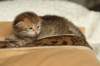 salomoboyimg_7017_small.jpg