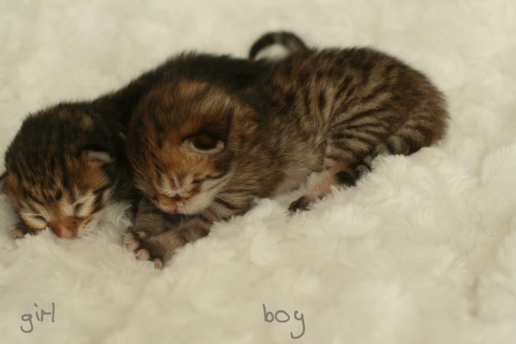 girlboyimg_6507.jpg