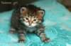 salomegirlimg_7403_small.jpg