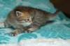 salomoboyimg_7376_small.jpg