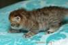 salomoboyimg_7377_small.jpg