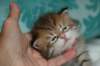 salomoboyimg_7390_small.jpg