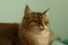 img_7735_small.jpg