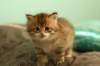 img_7741_small.jpg