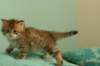 img_7743_small.jpg