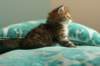 img_7862_small.jpg