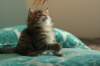 img_7871_small.jpg