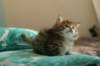 img_7887_small.jpg