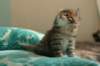 img_7891_small.jpg