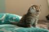 img_7892_small.jpg