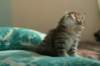 img_7893_small.jpg