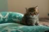 img_7895_small.jpg
