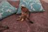 img_2583_small.jpg