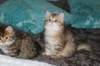 img_9644_small.jpg