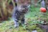 samuel6weeks20923_small.jpg