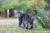 samuel6weeks20930_small.jpg