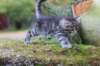 samuel6weeks20933_small.jpg
