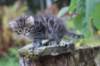 samuel6weeks20937_small.jpg