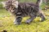samuel6weeks20939_small.jpg