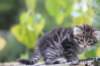 samuel6weeks20976_small.jpg