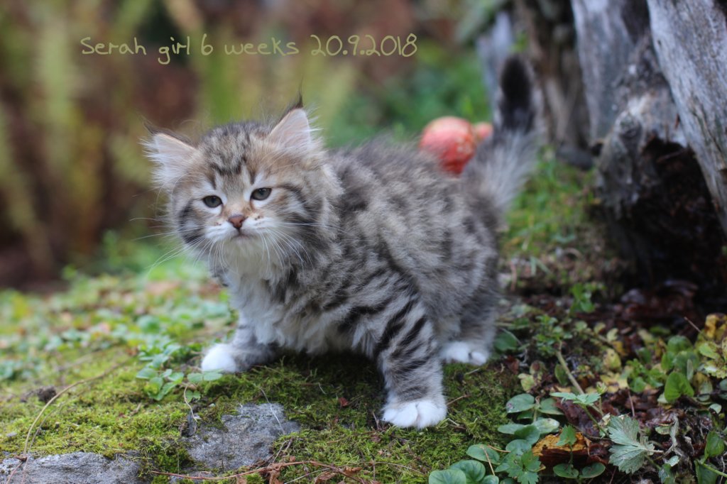 serah6weeks2091.jpg