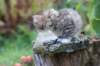 serah6weeks20926_small.jpg