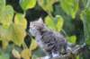 serah6weeks20936_small.jpg