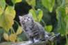 serah6weeks20938_small.jpg