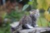 serah6weeks20941_small.jpg