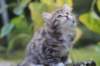 serah6weeks20942_small.jpg
