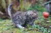 serah6weeks20943_small.jpg