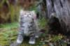 serah6weeks20948_small.jpg