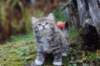 serah6weeks20949_small.jpg