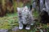 serah6weeks20950_small.jpg