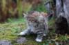 serah6weeks20951_small.jpg