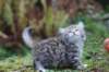 serah6weeks20952_small.jpg