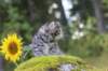 simeonboy55weeks16927_small.jpg