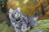 simeon9weeks111034_small.jpg