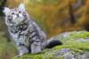 simeon9weeks111039_small.jpg