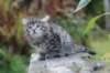 simonboy6weeks20947_small.jpg