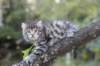 simonboy6weeks20965_small.jpg