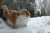img_2382_small.jpg