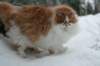 img_2384_small.jpg