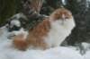 img_2453_small.jpg