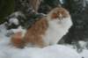 img_2454_small.jpg