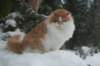 img_2456_small.jpg