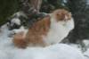 img_2457_small.jpg