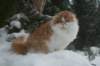 img_2459_small.jpg