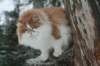 img_2466_small.jpg