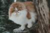 img_2467_small.jpg